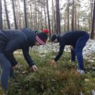 Meeskondlik orienteerumismäng